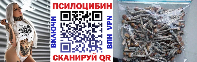 Псилоцибиновые грибы Cubensis  Комсомольск 